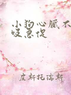 小狗心脏不好呼吸急促