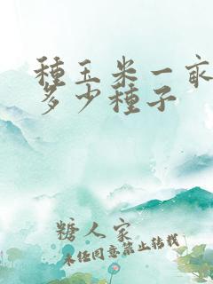 种玉米一亩地用多少种子