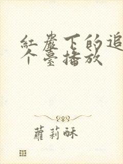 红岩下的追捕哪个台播放