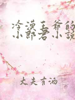 冷漠王爷的替嫁小郎君小说