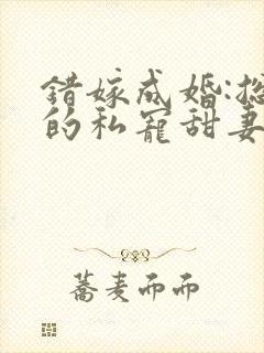 错嫁成婚:总裁的私宠甜妻 短剧