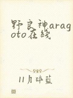 野良神aragoto在线