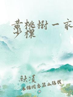 黄桃树一亩种多少棵