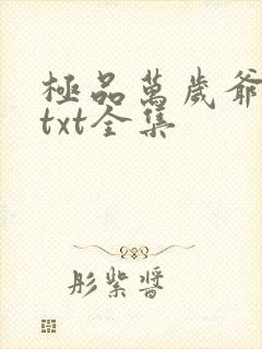 极品万岁爷下载txt全集
