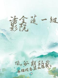 潘金莲一级片电影院 潘金莲一级片电影院