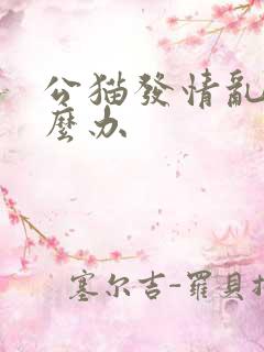 公猫发情乱尿怎么办