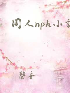 同人nph小说