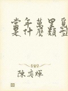 当年万里觅封侯是什么类型的小说 当年万里觅封侯是什么类型的小说