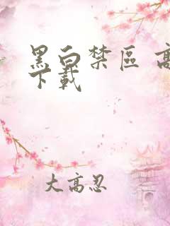 黑白禁区 高清下载