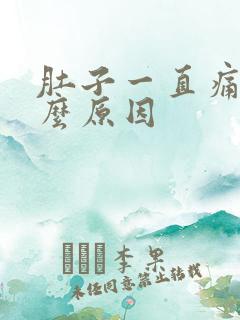 肚子一直痛是什么原因
