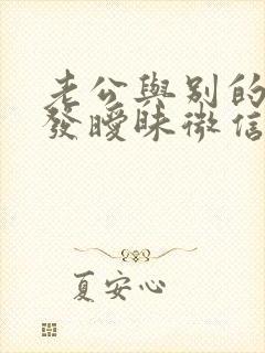 老公与别的女人发暧昧微信,怎么办