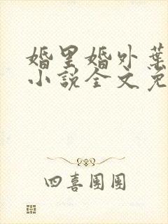 婚里婚外叶晓井小说全文免费阅读