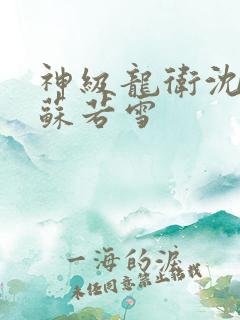神级龙卫沈浪与苏若雪
