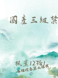 国产三级禁片