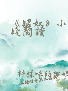 《昭奴》小说在线阅读 《昭奴》小说在线阅读