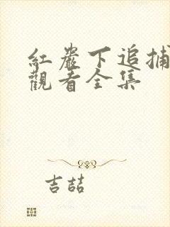 红岩下追捕免费观看全集