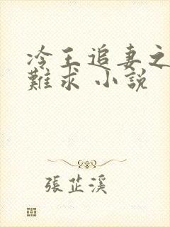 冷王追妻之医妃难求 小说