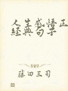 人生感悟正能量经典句子