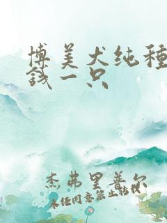 博美犬纯种多少钱一只