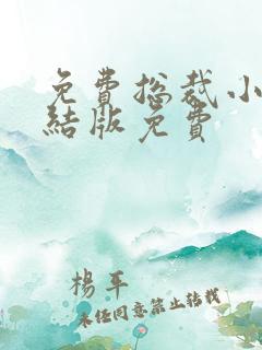 免费总裁小说完结版免费