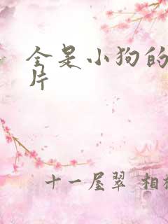 全是小狗的动画片