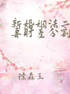 新婚姻法二婚夫妻财产分割