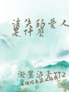 消失的爱人结局是什么