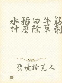 水稻田牛筋草用什么除草剂