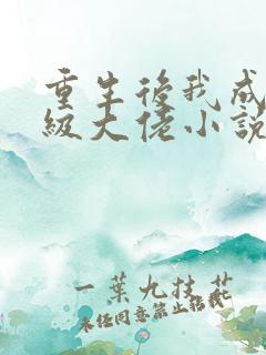 重生后我成了满级大佬小说
