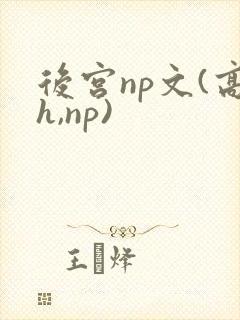 后宫np文(高h,np)