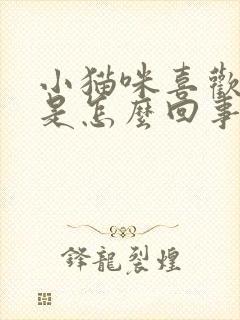 小猫咪喜欢舔人是怎么回事