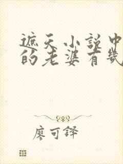 遮天小说中叶凡的老婆有几个