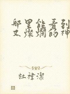 哪里能看到孤单又灿烂的神鬼怪国语版