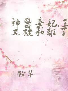 神医弃妃,王爷又被和离了