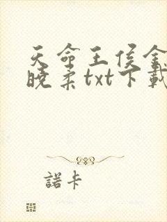 天命王侯金锋关晓柔txt下载
