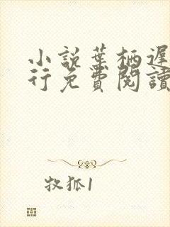 小说叶栖迟萧谨行免费阅读