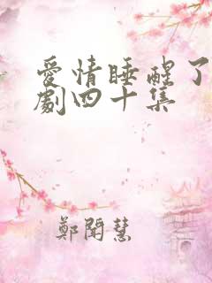 爱情睡醒了连续剧四十集