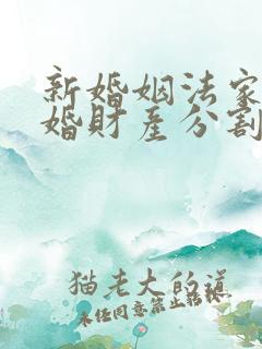 新婚姻法家暴离婚财产分割
