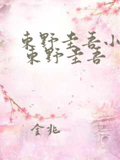东野圭吾小说集 东野圭吾 东野圭吾小说集 东野圭吾