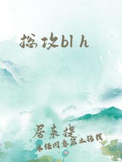 总攻bl h