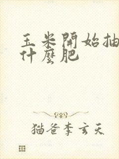玉米开始抽穗施什么肥