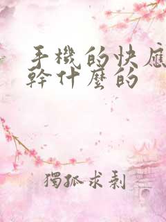 手机的快应用是干什么的 手机的快应用是干什么的
