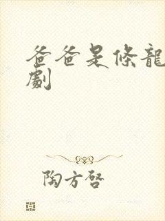 爸爸是条龙电视剧