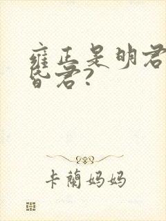 雍正是明君还是昏君?