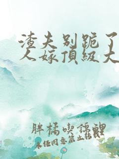 渣夫别跪了,夫人嫁顶级大佬显怀啦乐恩