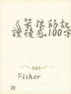 《笨狼的故事》读后感100字
