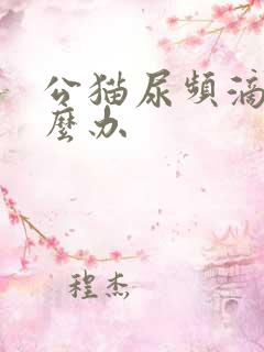 公猫尿频滴尿怎么办