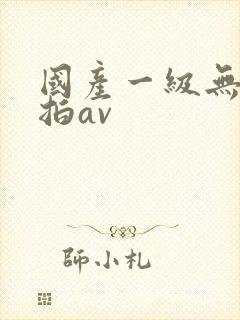 国产一级无套自拍av