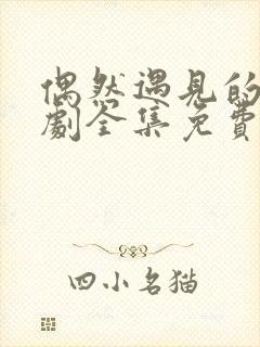 偶然遇见的你短剧全集免费版