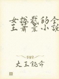 女总裁的全能兵王萧晨小说txt全文免费下载